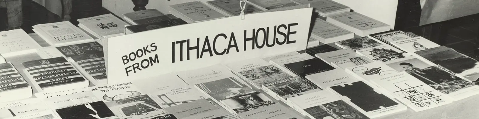 Photograph of IHP Books on Display